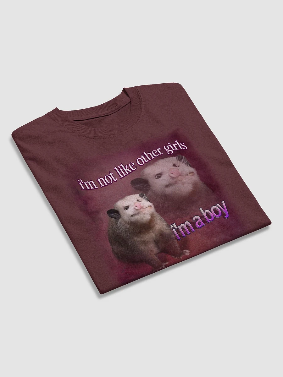 I'm not like other girls, I'm a boy possum T-shirt product image (4)