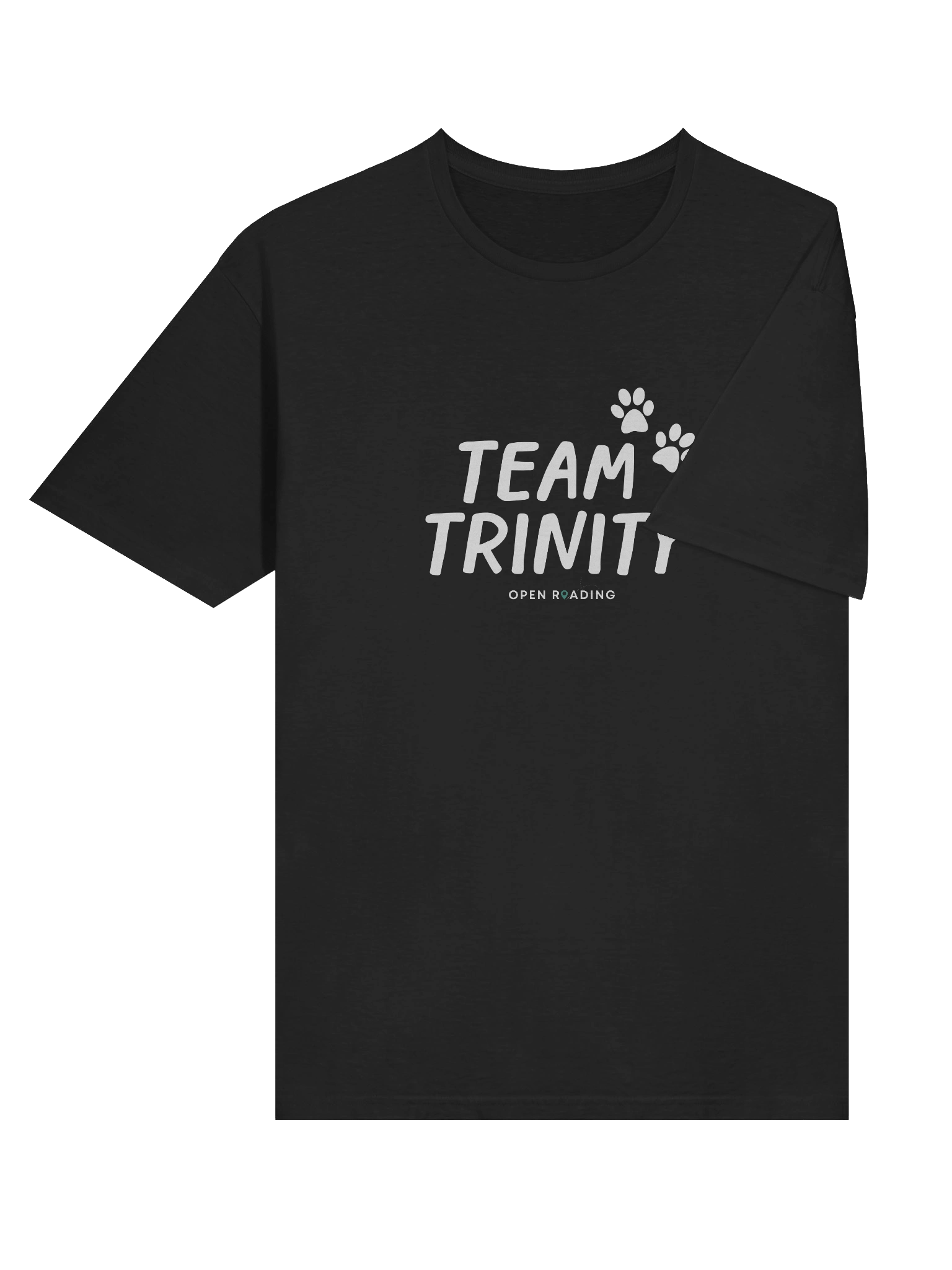 Team Trinity Adult-Sized Tee product image (6)