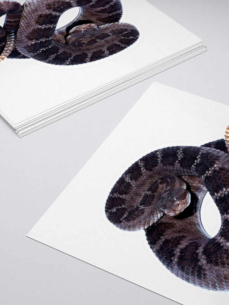 Arizona Black Rattlesnake Sticker product image (4)