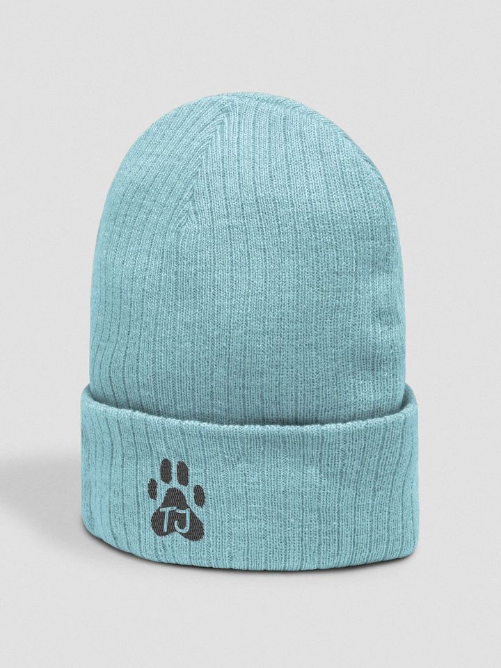 TJ Paw Recycled Cuffed Beanie (black detail) product image (10)