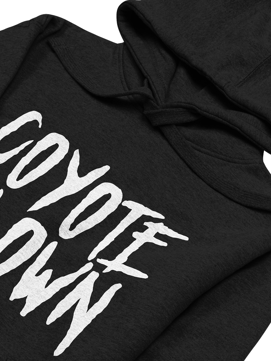 Hoodie product image (3)