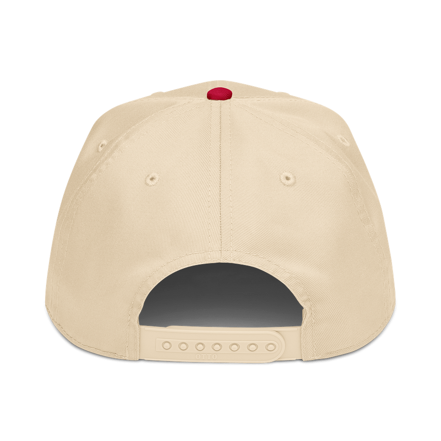 BattleBots Throwback Emblem Cap - 7 Colors - BattleBots Basics! product image (2)