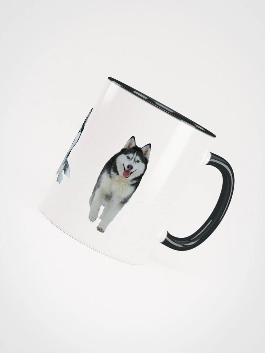 Majestic Siberian Husky with two different colored eyes product image (5)
