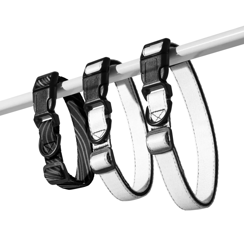 Topographical Dog Collar product image (7)