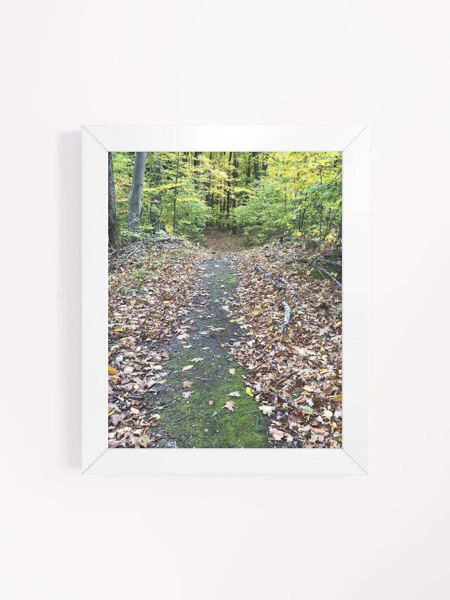 Trail in the Fall High Quality Matte Poster product image (4)