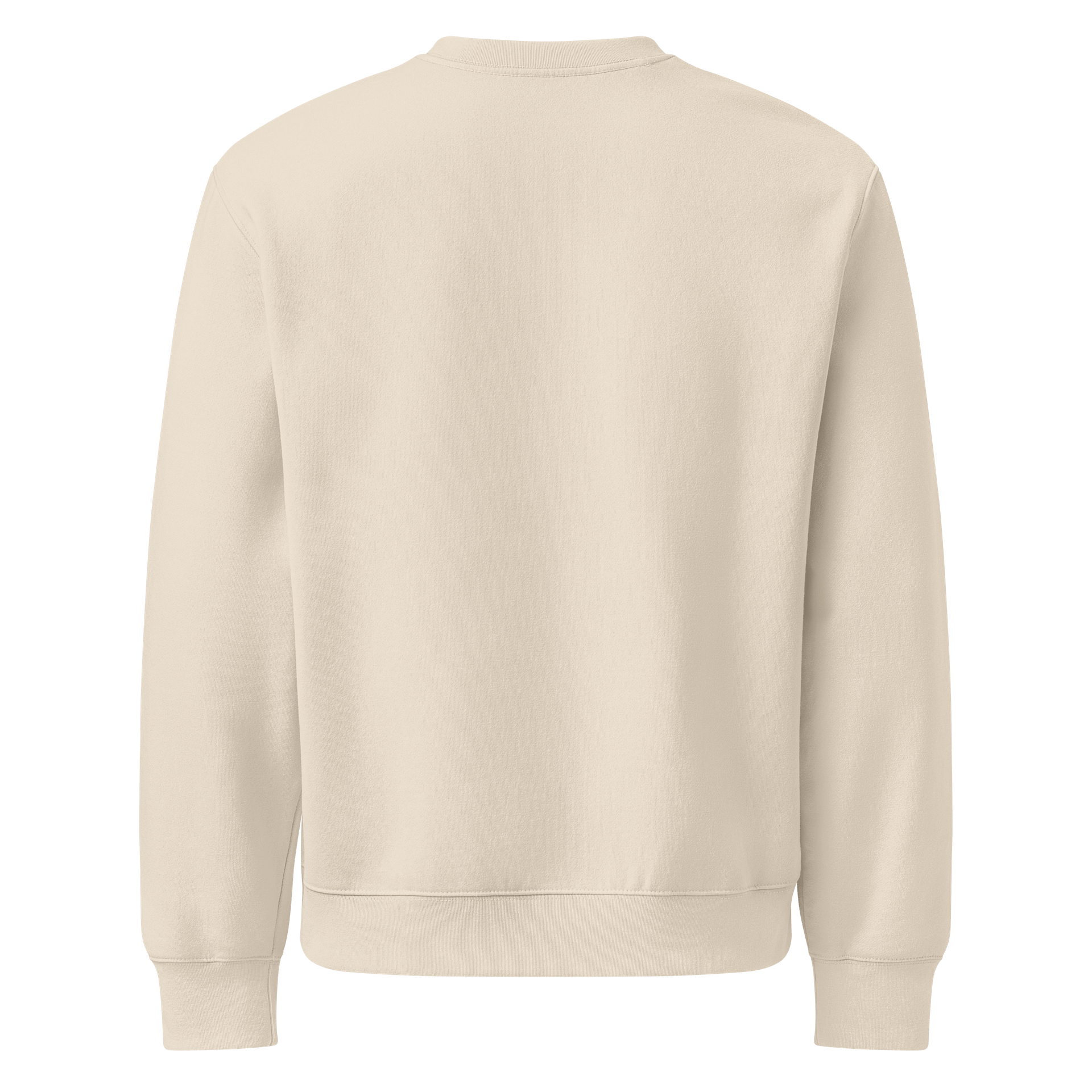 Desert Home Unisex Oversized Crewneck product image (15)