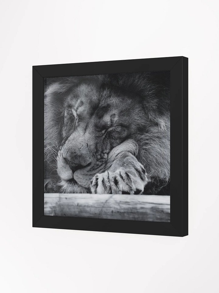 The Sleeping King product image (14)