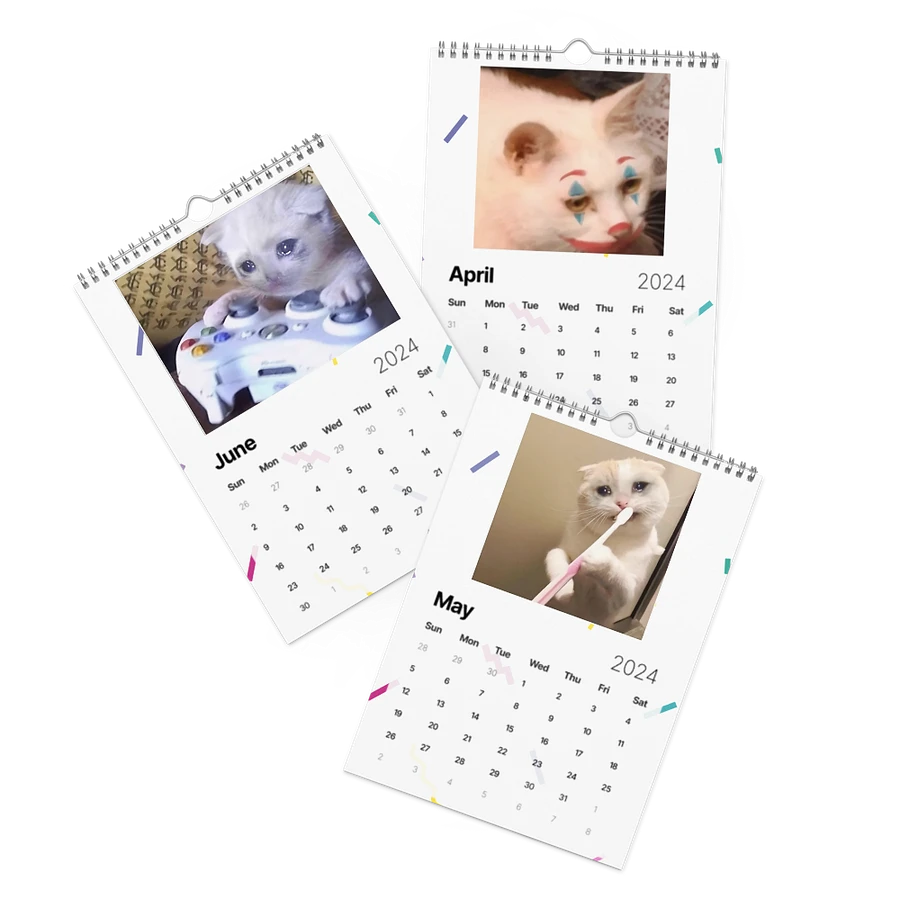 Wall Calendar (2024): Meme Cats product image (3)