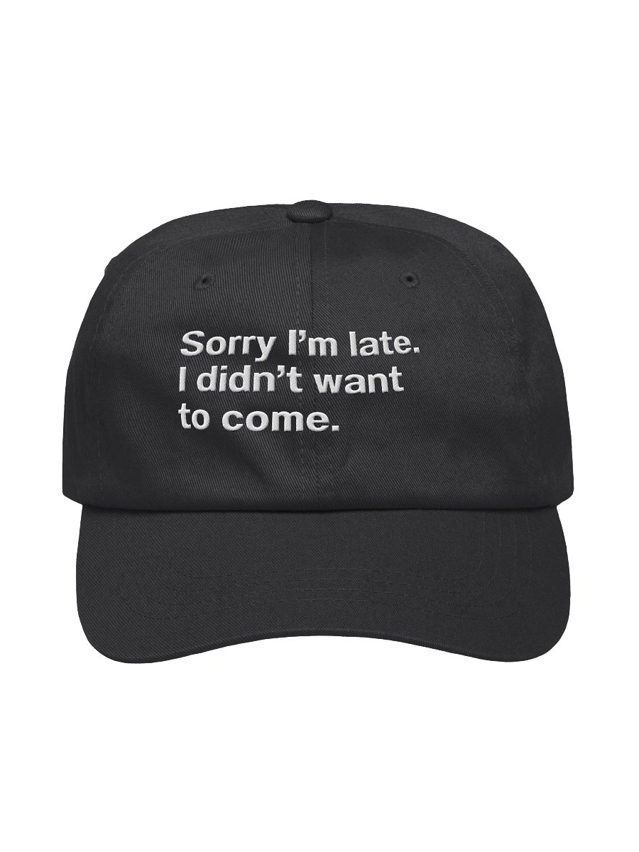 Sorry I'm late. I didn't want to come. Embroidered Hat product image (6)