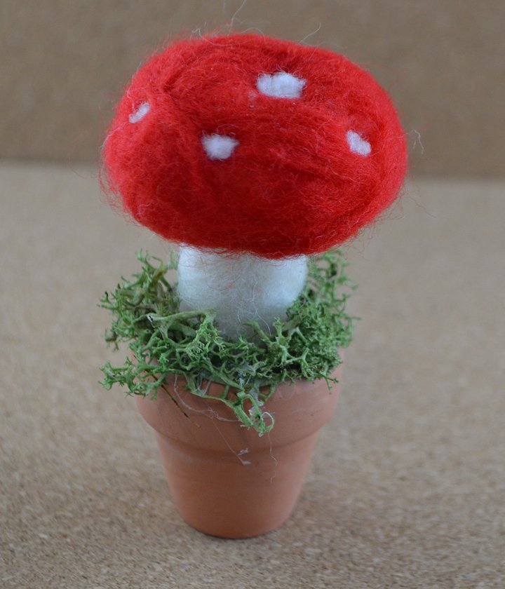 Mushroom product image (2)