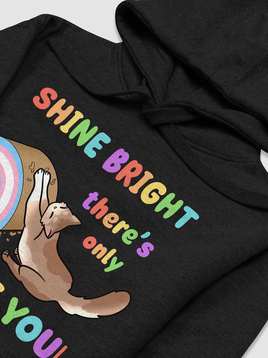 Shine Bright Trans Pride Hoodie product image (31)