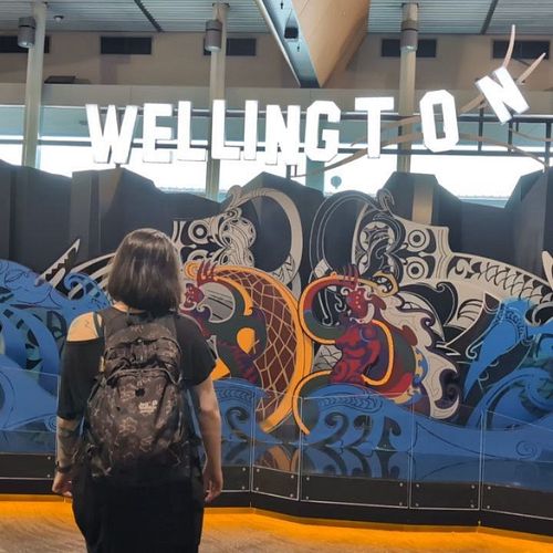 Goodbye Wellington. Hello Auckland and Hobbiton 👋🏻
This trip keeps getting better and better 🤩

#wellington #auckland #hobbit...