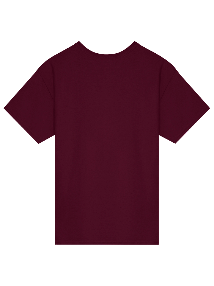 Funny Graphic Tee Capybara Selfie with UFOs Weird product image (10)