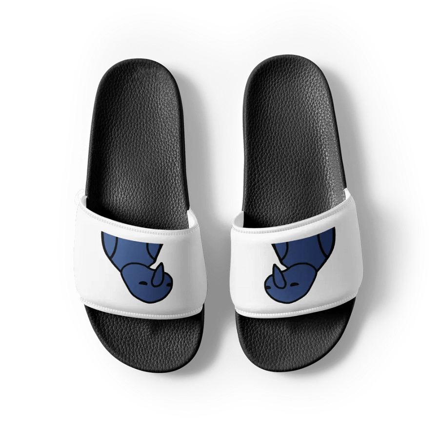 Ski Slides product image (7)