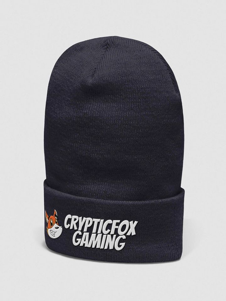 Cryptic Beanie product image (2)