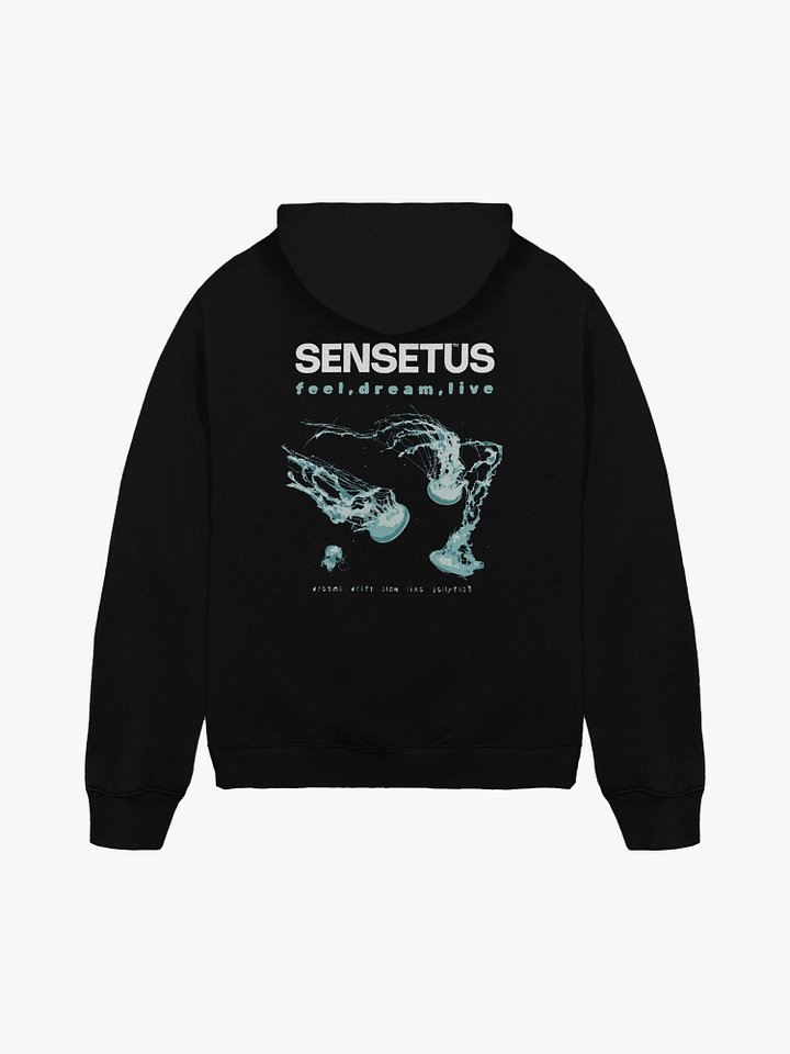 Black Shining Hoodie product image (1)