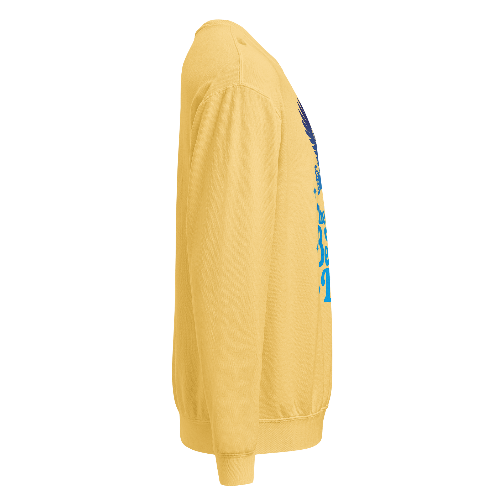 Soaring Big Beautiful Day Crewneck product image (6)