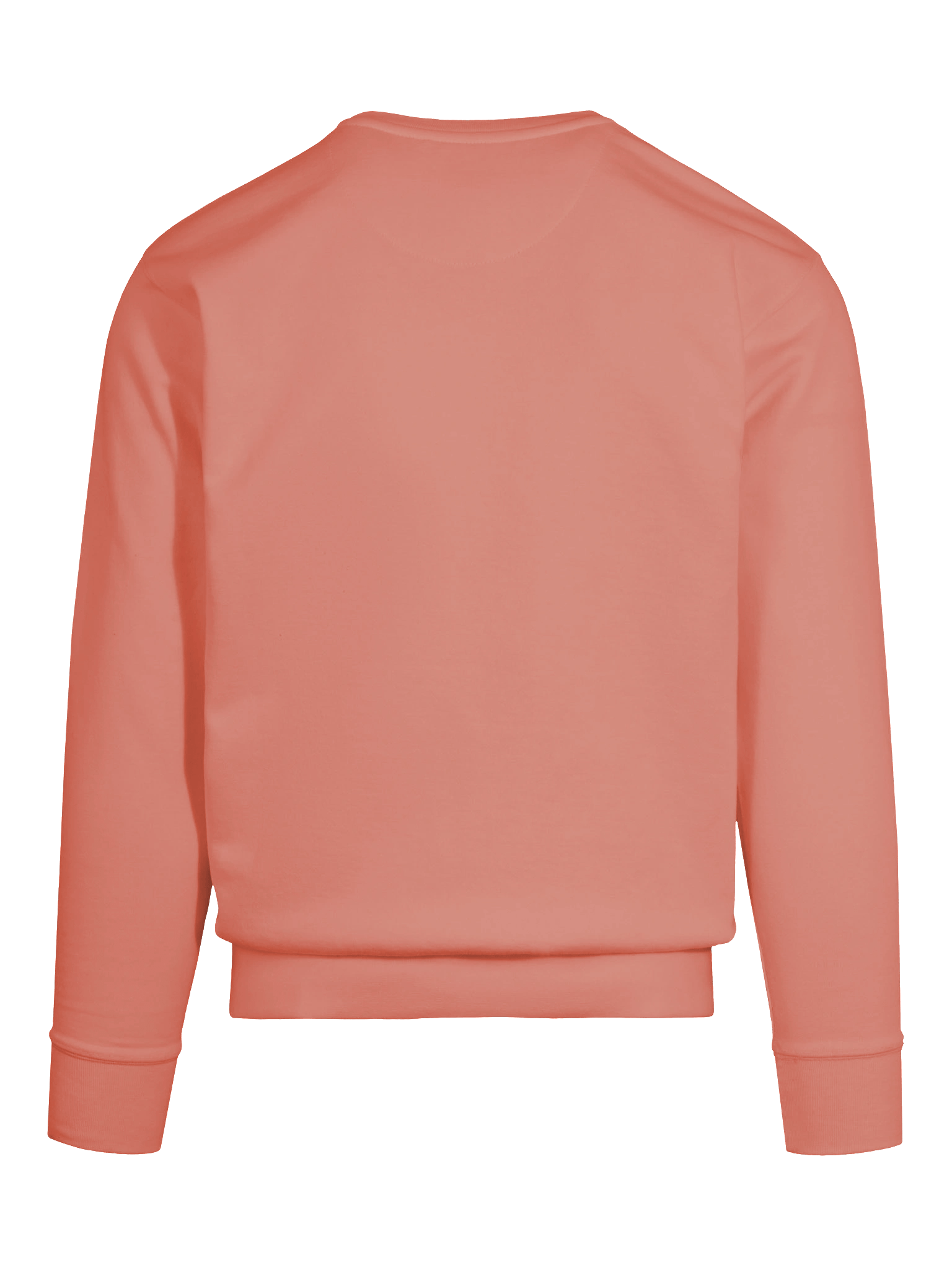 Quick Reaction Rottweiler Sweatshirt product image (53)