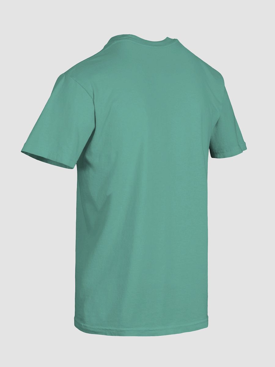 Chameleon Kite - Graphic Tee product image (90)
