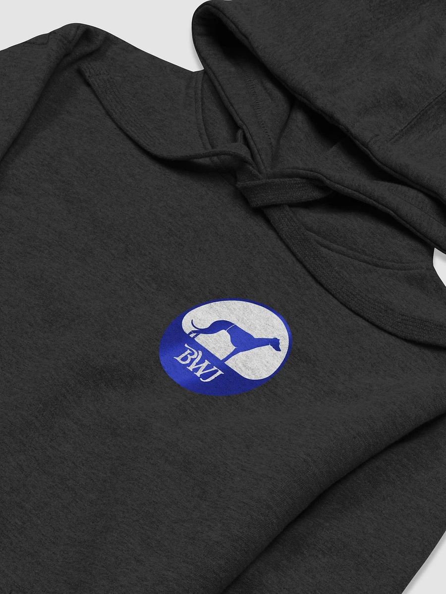 BWJ Hoody (back & front) product image (13)