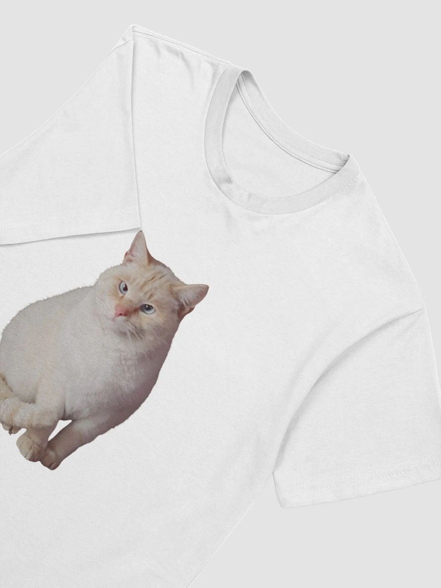 Paws The Cat T Shirt product image (3)