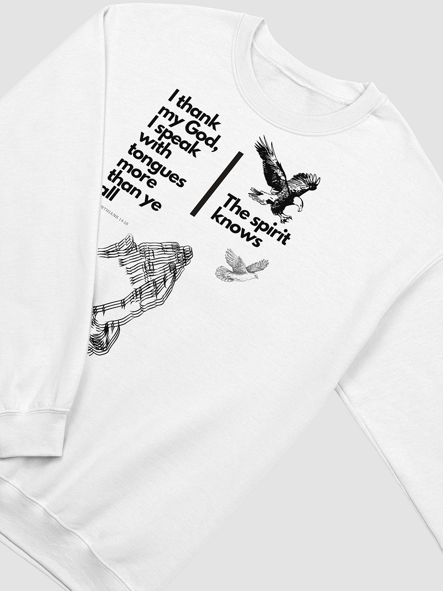 Speaking in tongues Sweatshirt Crew neck Unisex product image (2)