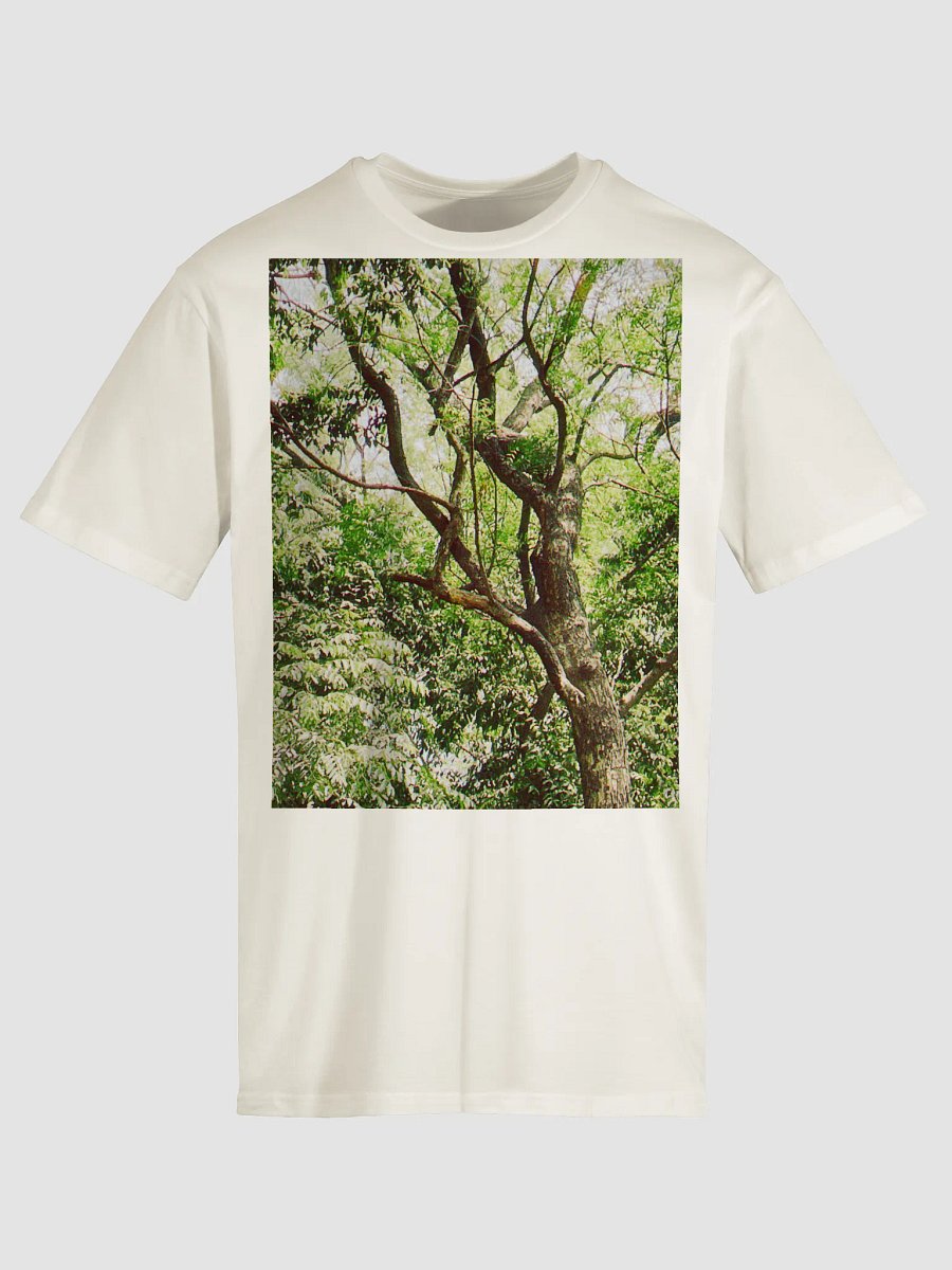 EARTH TONE DIVINE MUSIC TEE product image (5)