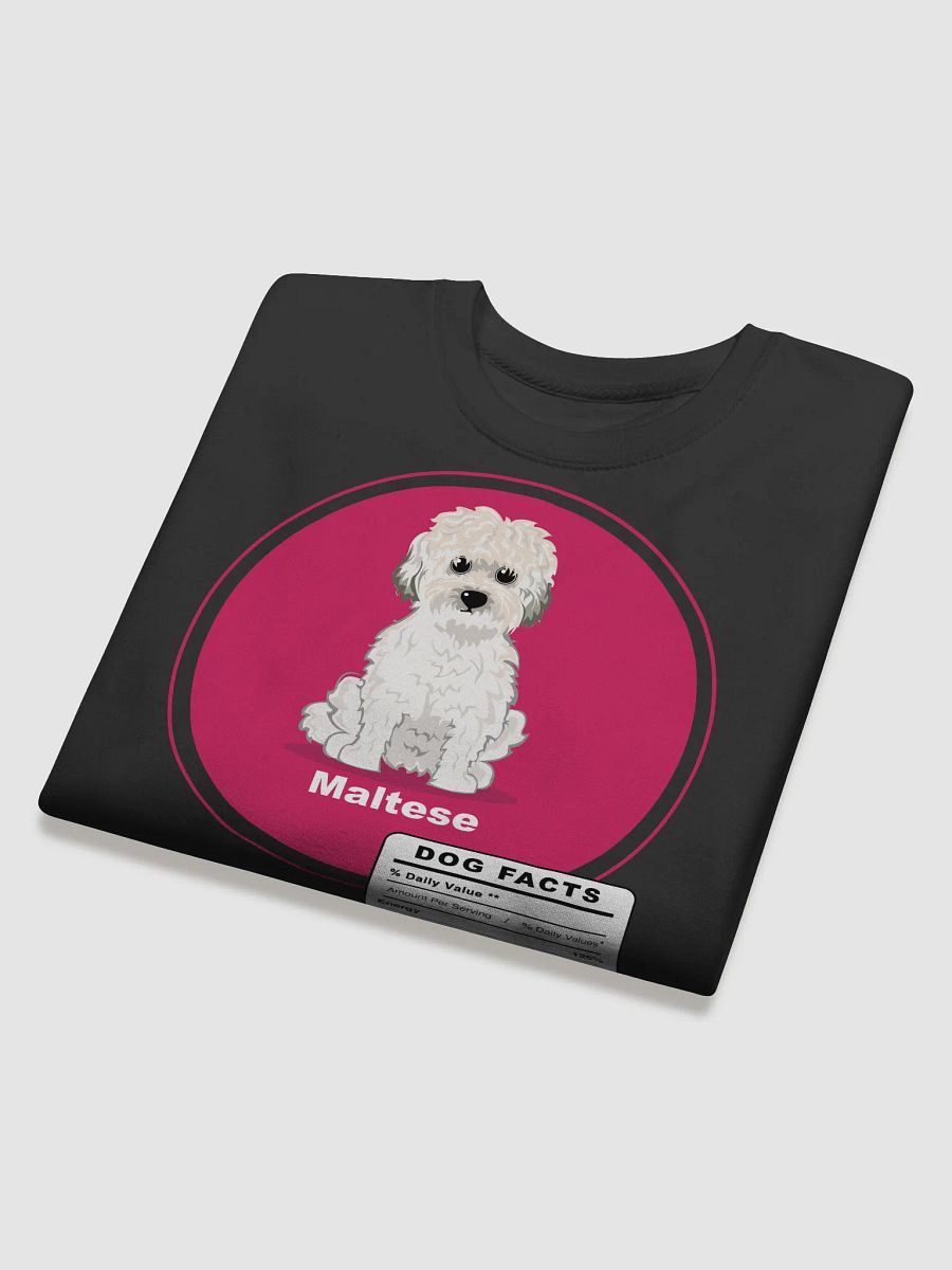 Maltese Dog breed adorable Facts product image (4)