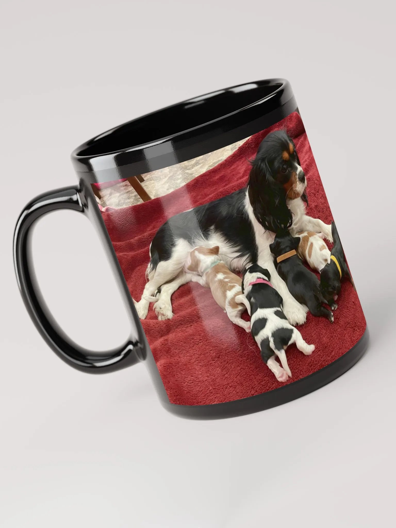 Myra and her 2024 Puppies product image (5)