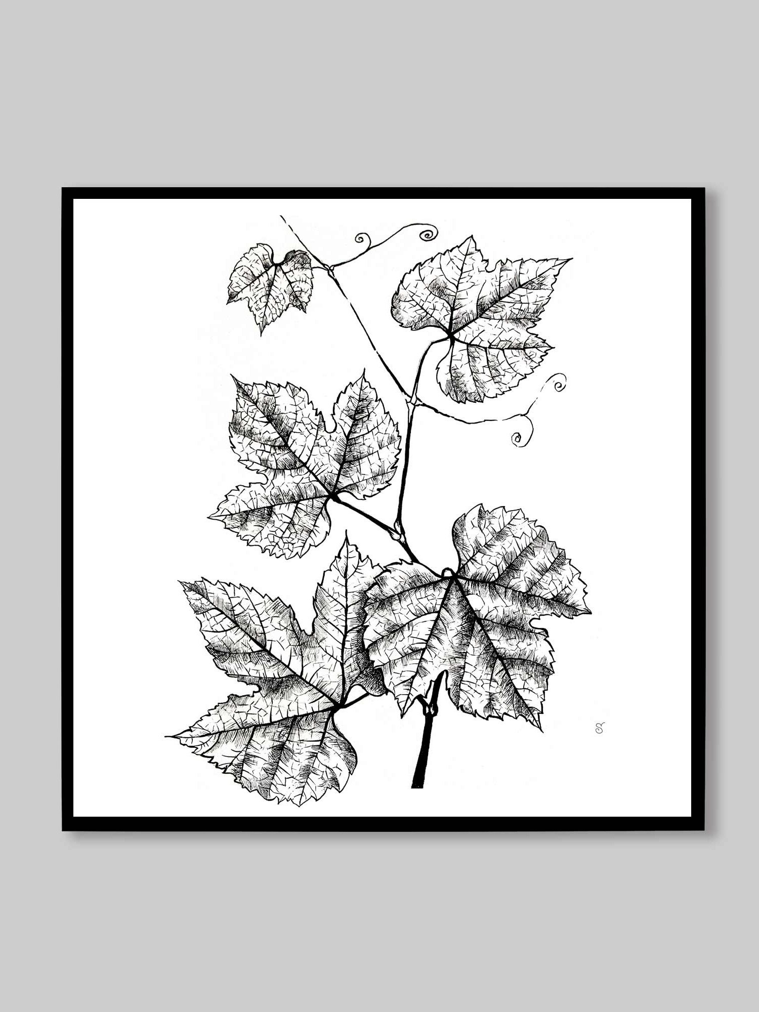 Botanical Bliss Canvas Art - Grape Leaves product image (9)