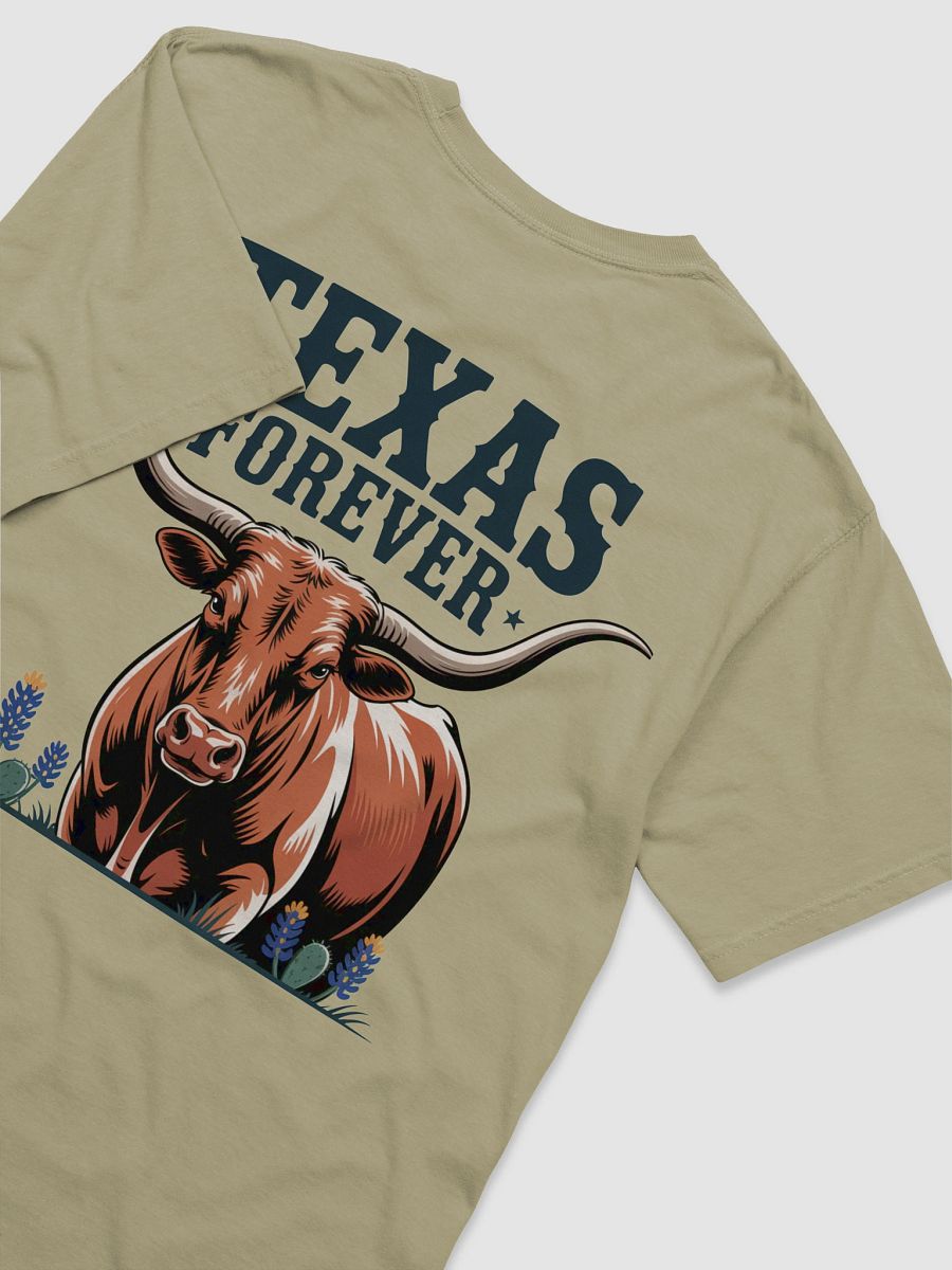 Texas Forever Distressed T-Shirt product image (46)