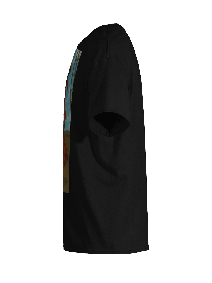 Ash as a pirate product image (7)