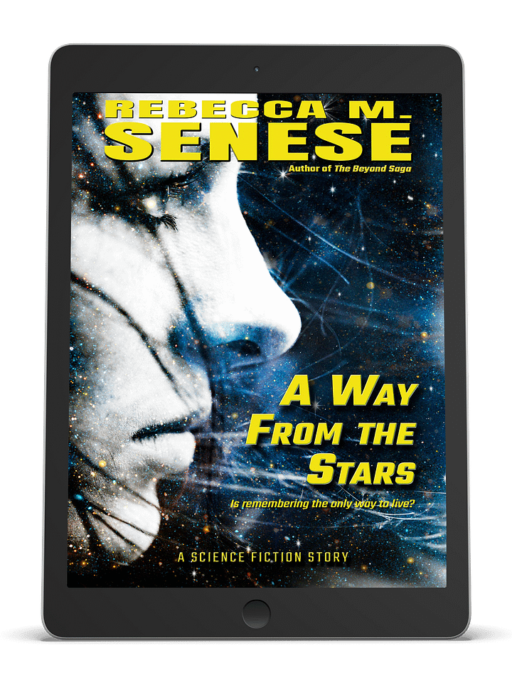 A Way From the Stars product image (1)