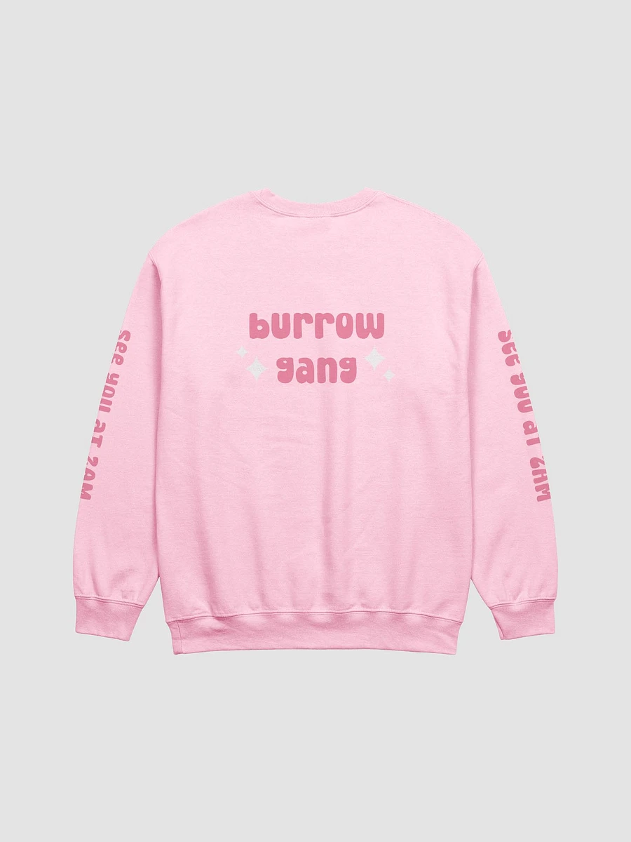 burrow gang ⟡ double-sided crewneck sweatshirt [8 colors] product image (2)