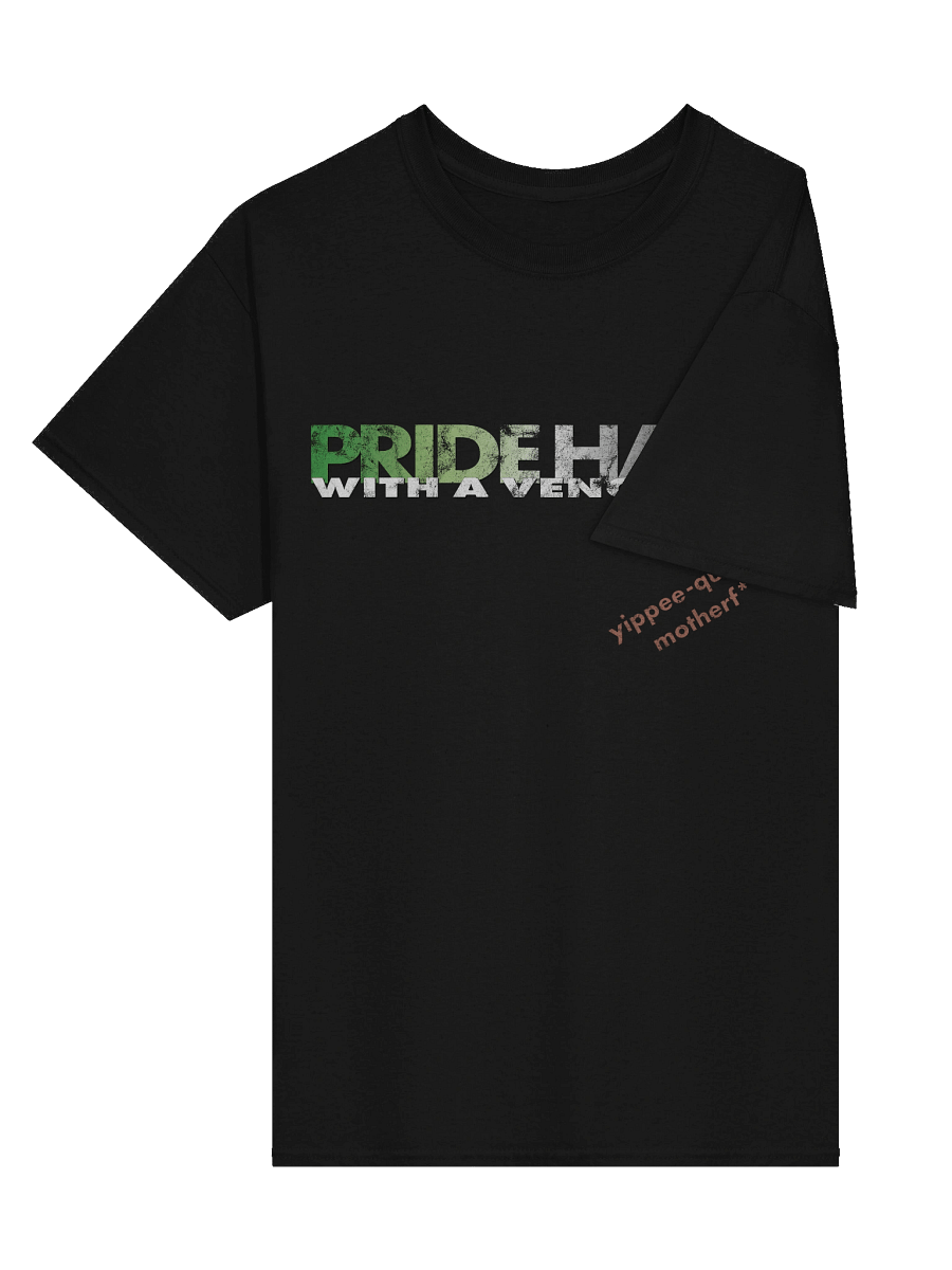 Aromantic "Pride Hard" Tee product image (3)