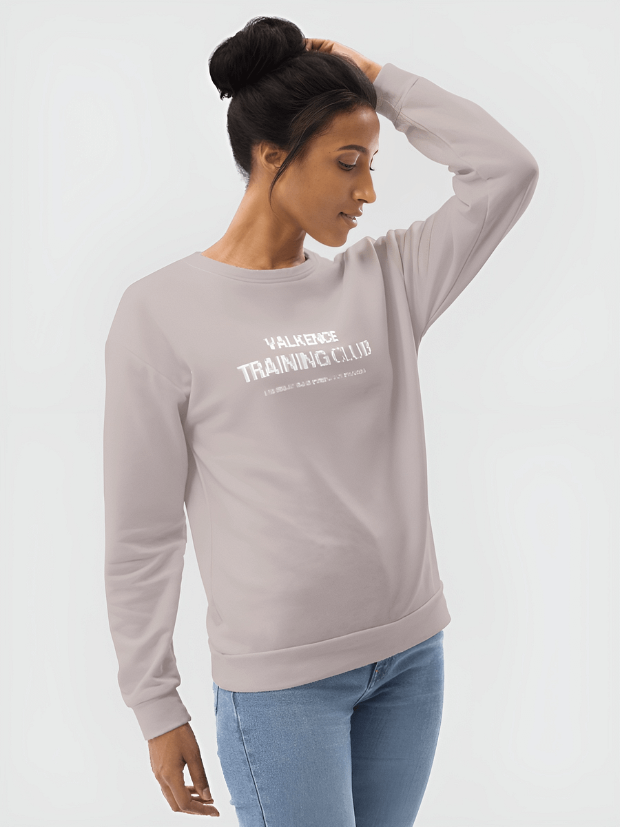 Training Club Sweatshirt - Mauve Gray product image (4)