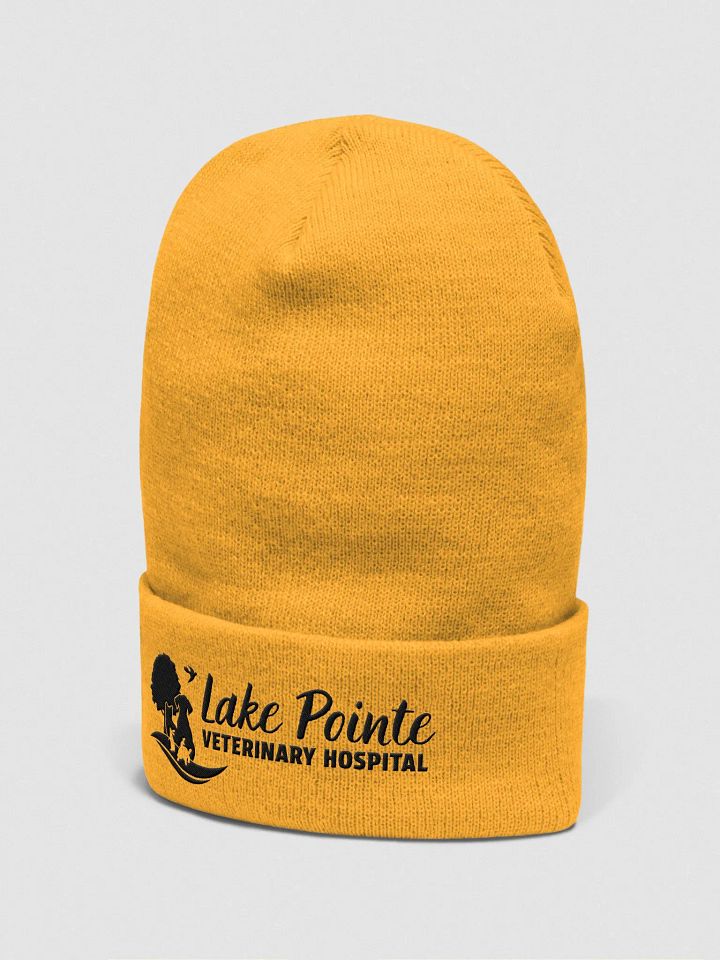 Elegant Embroidered Logo Beanie (Lighter Colors) product image (6)