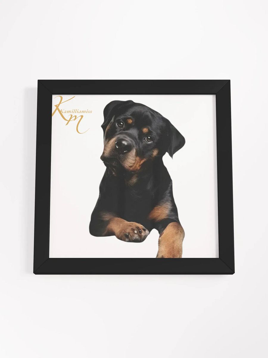 kamilliamiss product image (55)