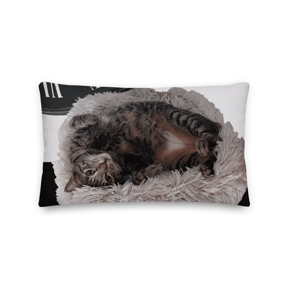 Ben Pillow with Background product image (1)