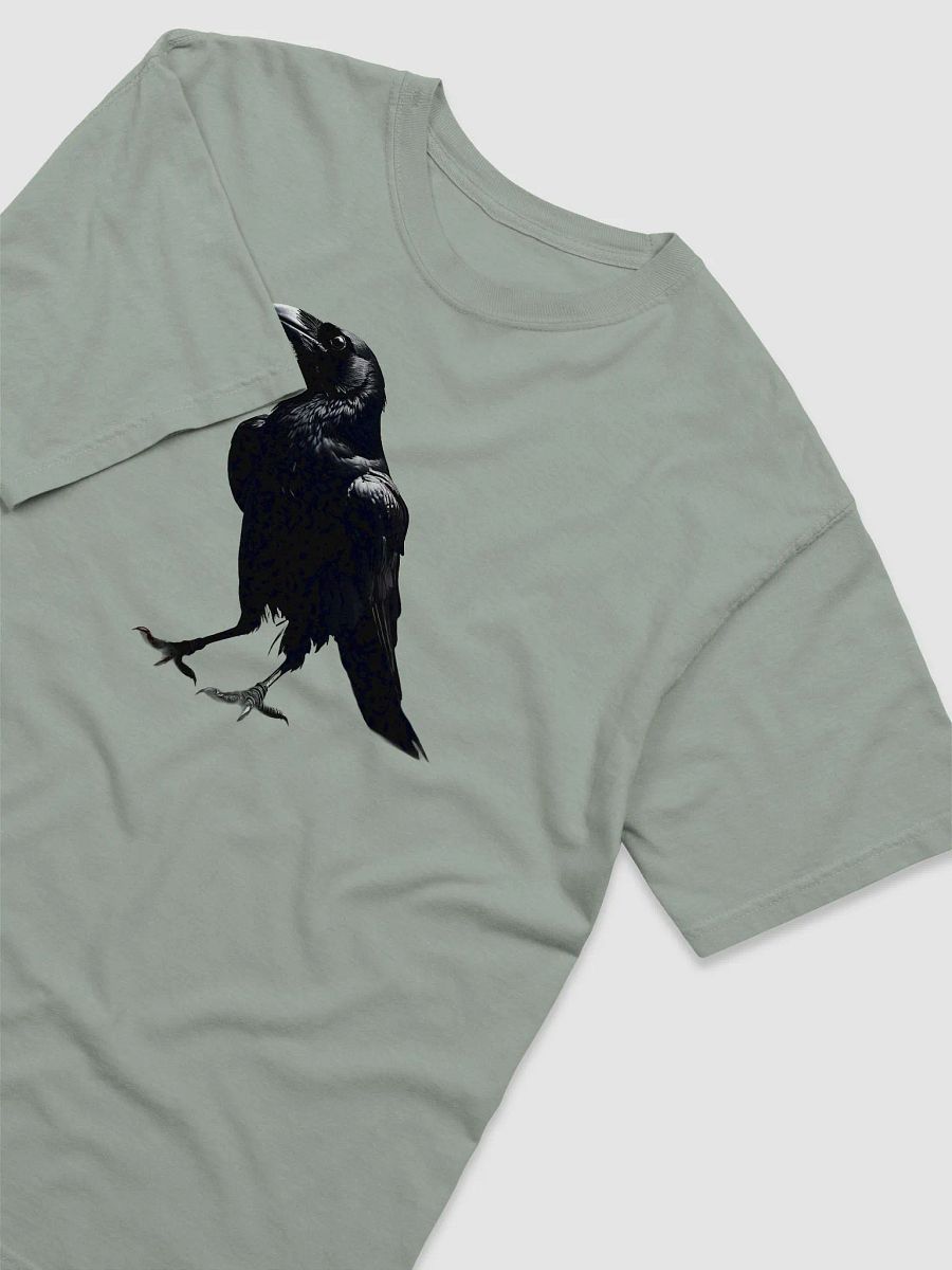 The black and shadowy Crow product image (32)