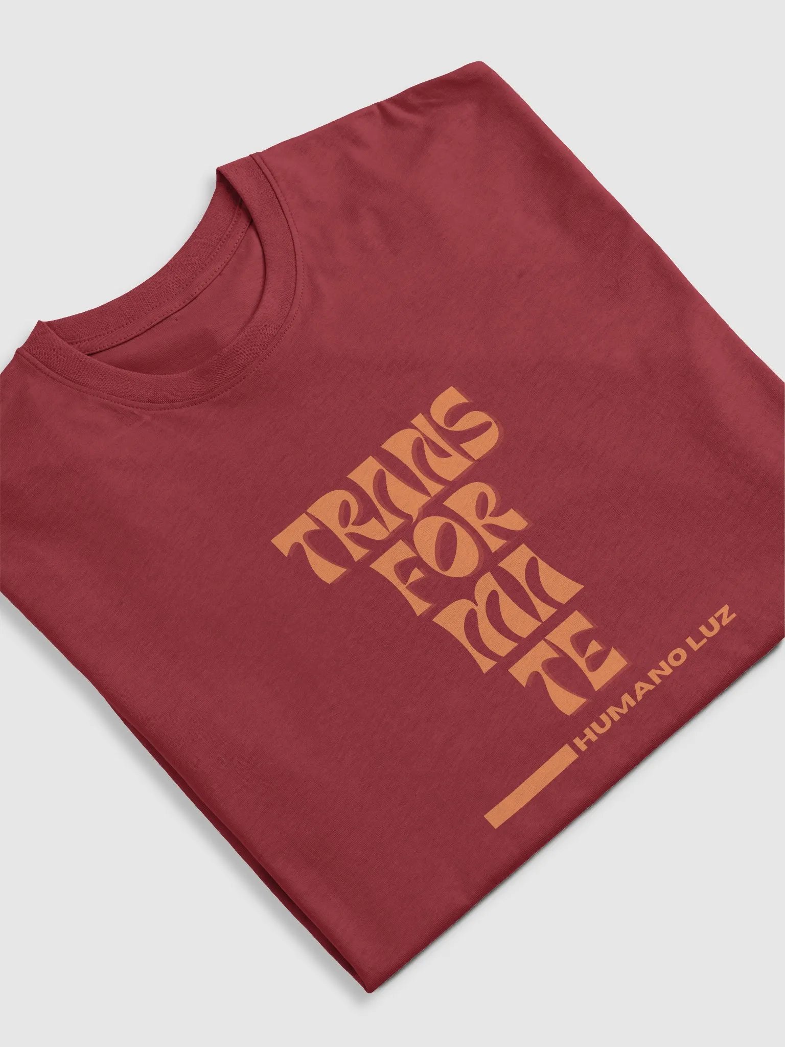 Cotton Heritage Men's Premium Heavyweight Transfórmate Tee product image (5)