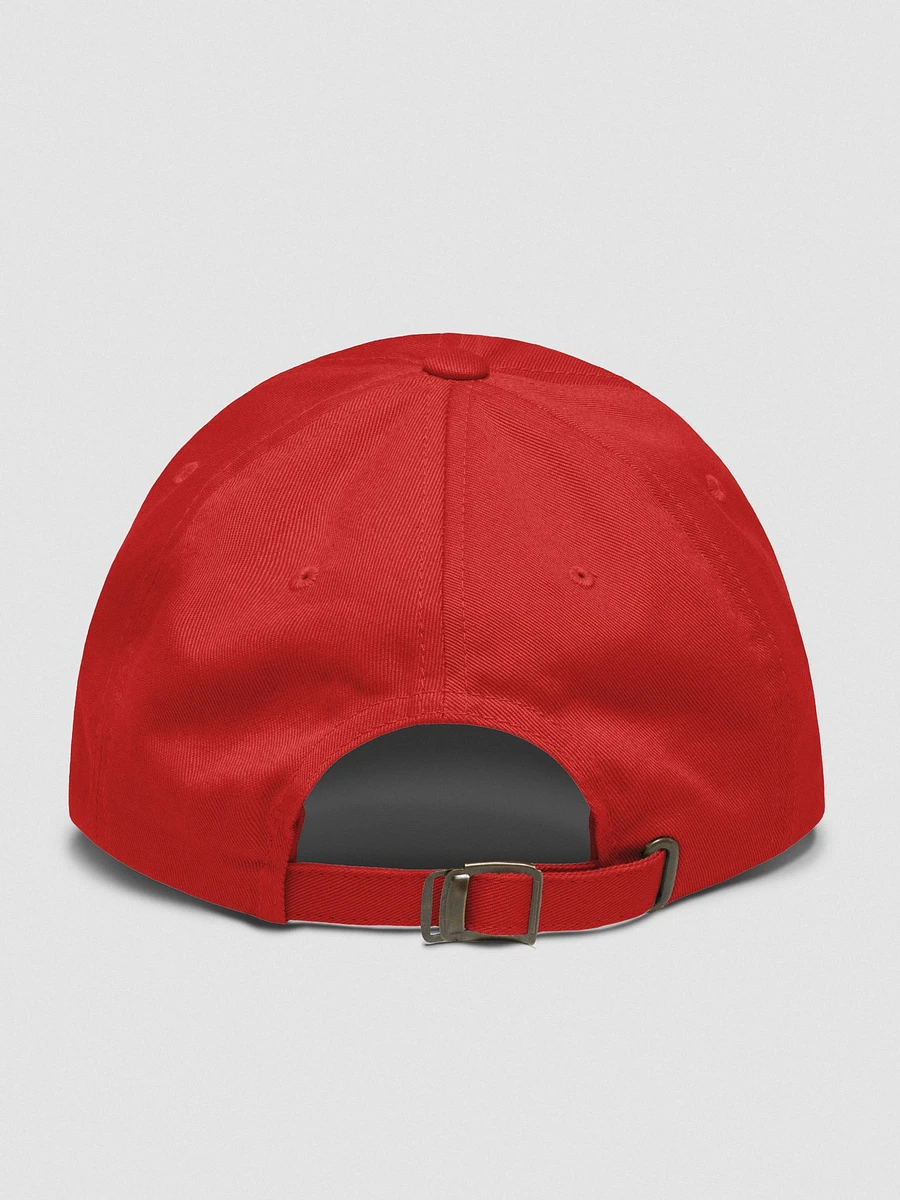 Fry Pirate Seagull Embroidered low profile cap product image (9)