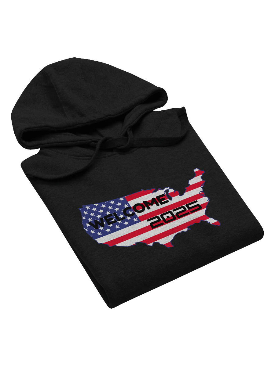Patriotic Welcome 2025 Hoodie product image (63)