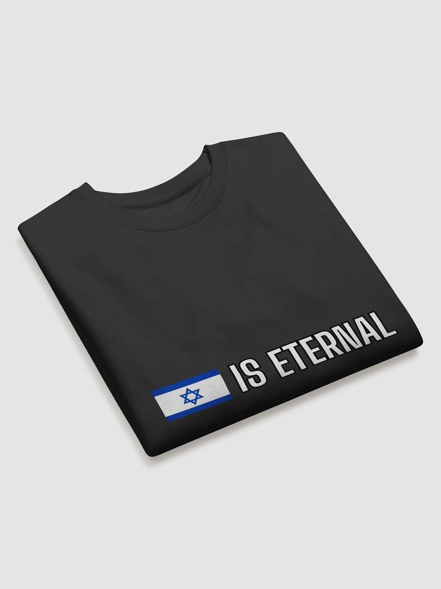 Israel Is Eternal Sweater product image (3)