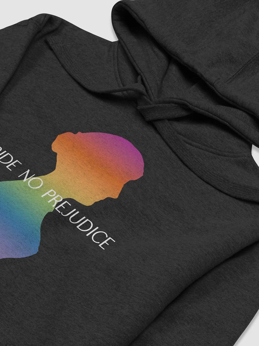 Pride NO Prejudice - Hoodie product image (10)