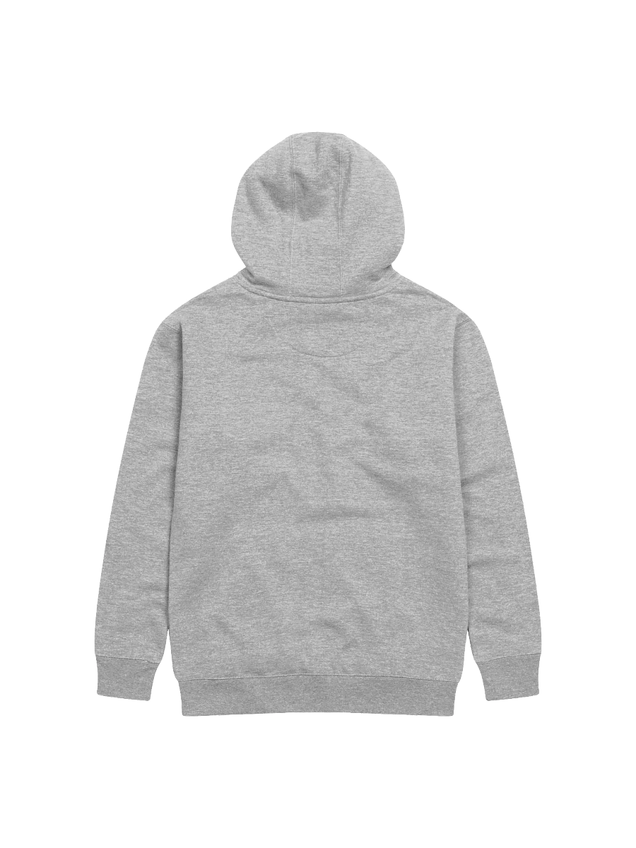 Truth Hoodie product image (2)