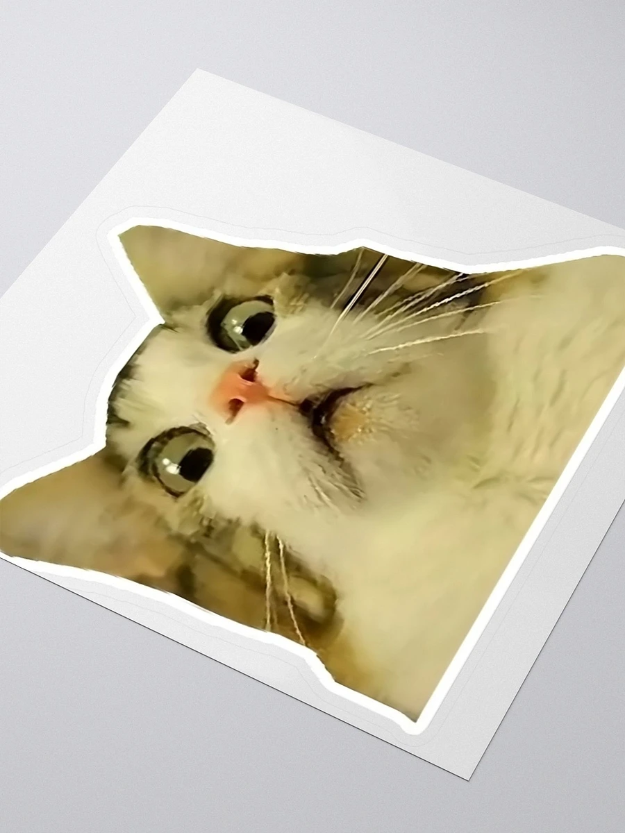 Kiss Cut Stickers: Meme Cats product image (3)