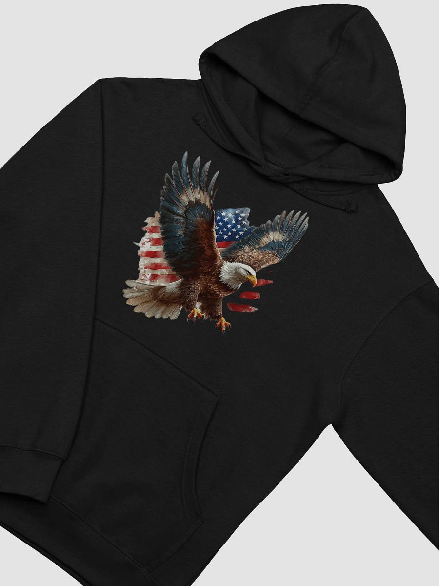 Patriot's Flight Hoodie product image (27)