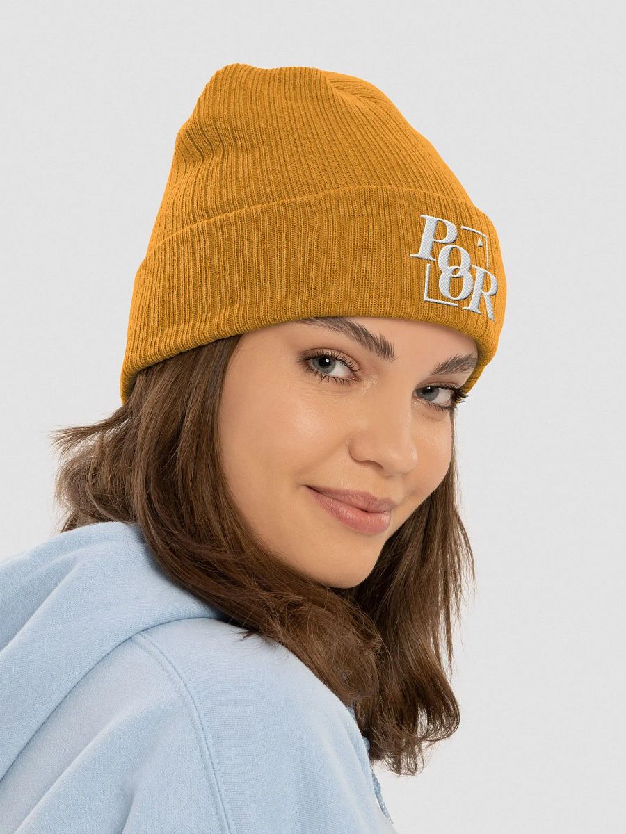 Poorboy's Original Knit Beanie product image (6)