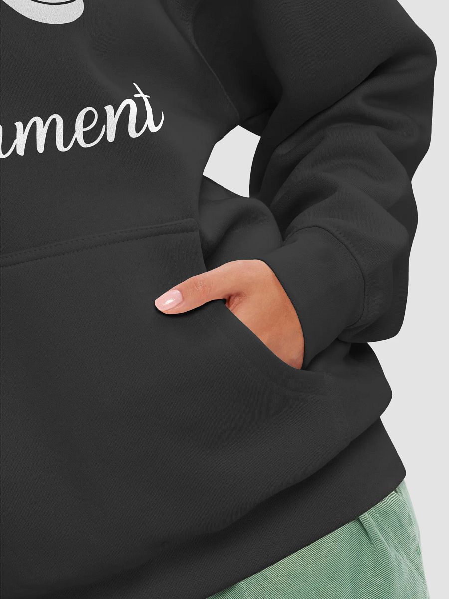 I Understand The Assignment Vote Blue rally Hoodie, Save Democracy Hoodie product image (5)